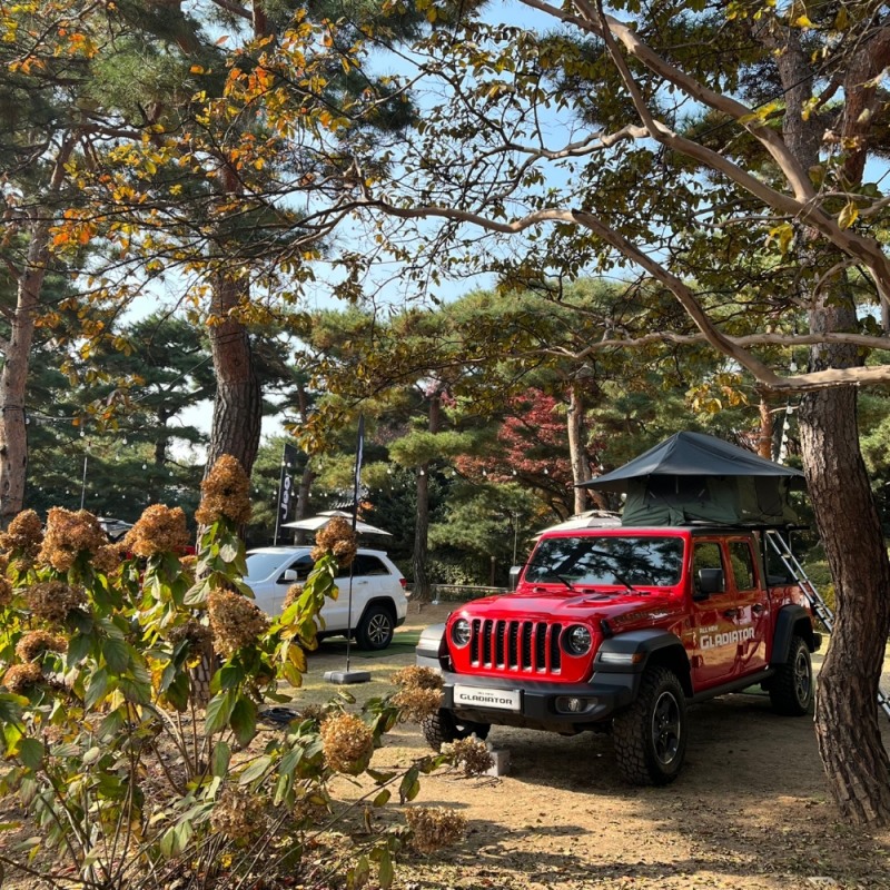 메이필드호텔 서울_차박존 소나무 정원