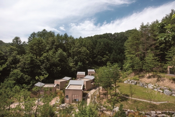 사진=웰니스 관광 페스타 할인 캠페인 '금강송 에코리움'