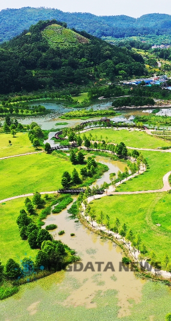하늘에서 본 함평천지 길/사진=함평군청