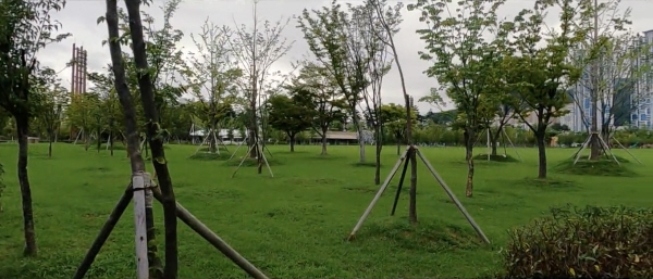 한국문화정보원 문화포털, 위드코로나 시대에 추억을 남길 수 있는 부산 영상 BEST 4