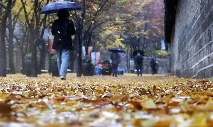 비가 내린 지난 8일 오전 서울 중구 덕수궁 돌담길에서 시민들이 우산을 쓰고 발걸음을 옮기고 있다.