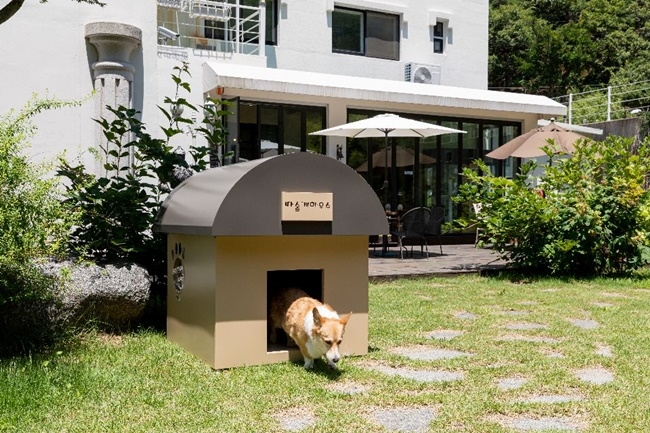 따숩개하우스, 겨울철 반려견 위한 감성난방하우스 출시