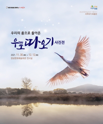 경남 창녕군, '우포따오기' 지역사진작가 특별전 개최