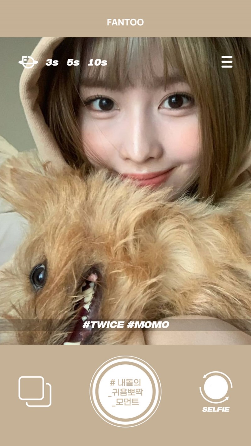 트와이스부터 NCT, 엔하이픈까지 “내 아이돌의 MBTI는 C.U.T.E”