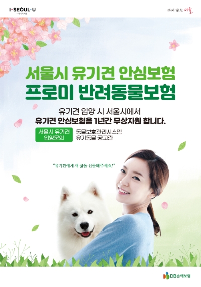 DB손해보험 "서울시 유기견 입양시 펫보험 무료 제공"