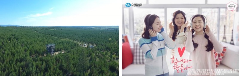 사진=〈좌〉 몽골 유한킴벌리숲(사막화방지숲) 전경 〈우〉 힘내라 딸들아 생리대 기부 캠페인