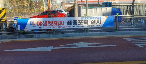 경기 안성시, 야생멧돼지 집중포획 기간 운영