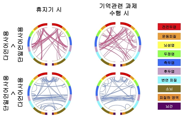 KAIST, "다언어 사용 아이들, 인지능력·뇌 연결망 사용에 긍정적 영향"