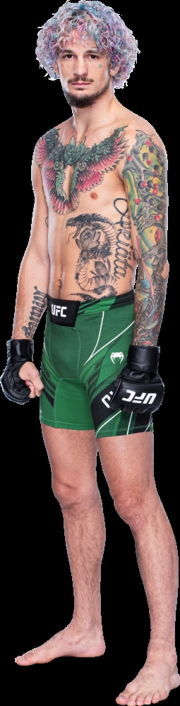 션 오말리, 1회 TKO로 3연승 밴텀급 랭킹 입성-UFC269