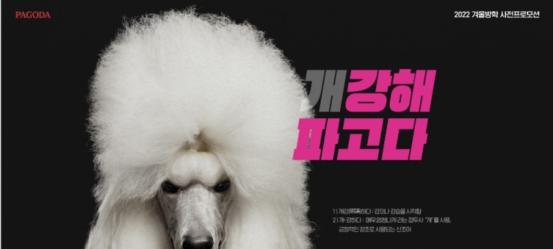 사진=파고다 제공