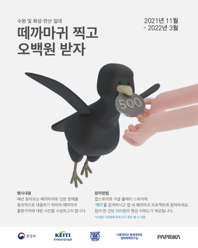 수원시, '떼까마귀 찍고 오백 원 받자' 이벤트 실시