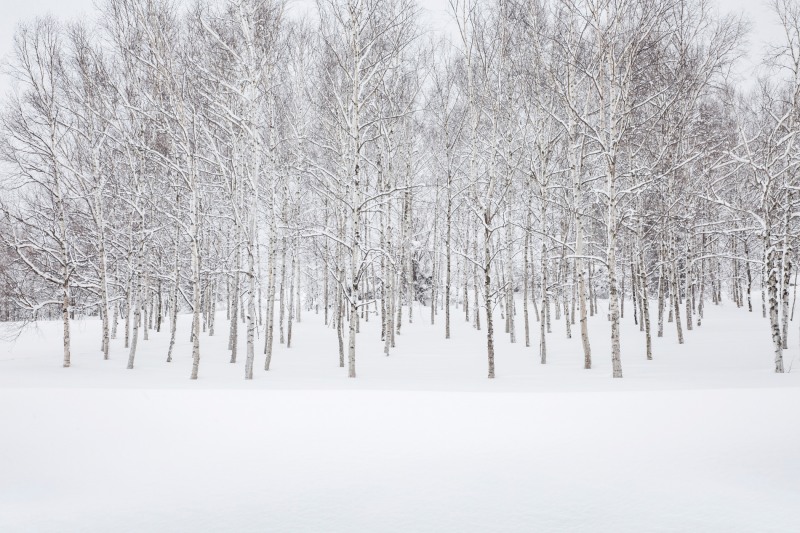 결혼정보회사 노블레스 수현, 겨울 여행지 4곳 선정