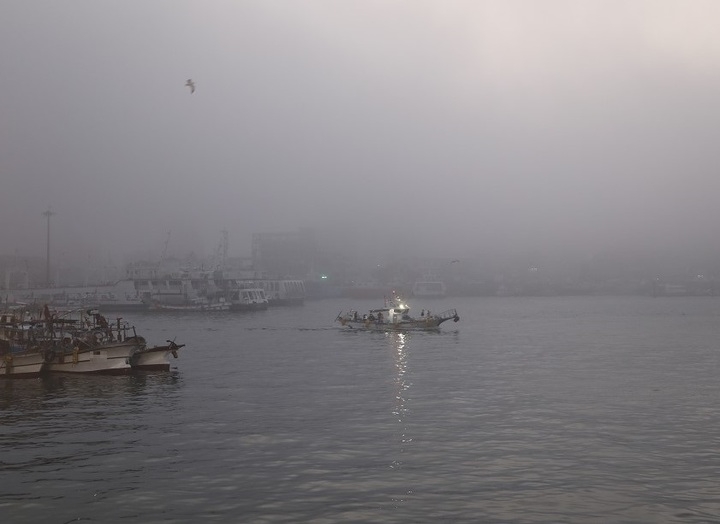 게릴라성 바다안개. (사진=목포해경 제공)