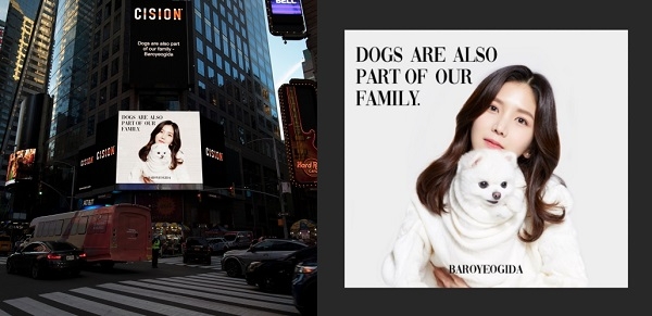 '강아지도 가족이다' 美 타임스퀘어 장식한 유기견 예방 캠페인