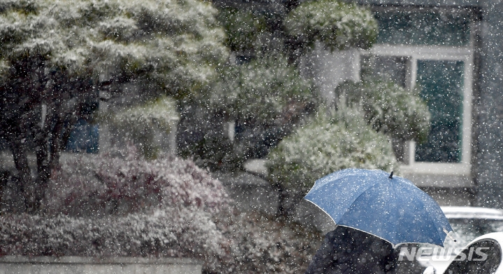 광주와 전남 일부지역에 대설특보가 내려진 17일 오후 광주 남구 봉선동 모 관공서 건물에서 한 시민이 우산을 쓴채 걸어가고 있다.