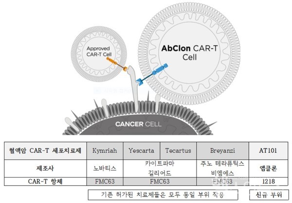 앱클론AT101은기존CAR-T세포치료제와에피토프가전혀다른신규항체(1218)가적용돼있다.