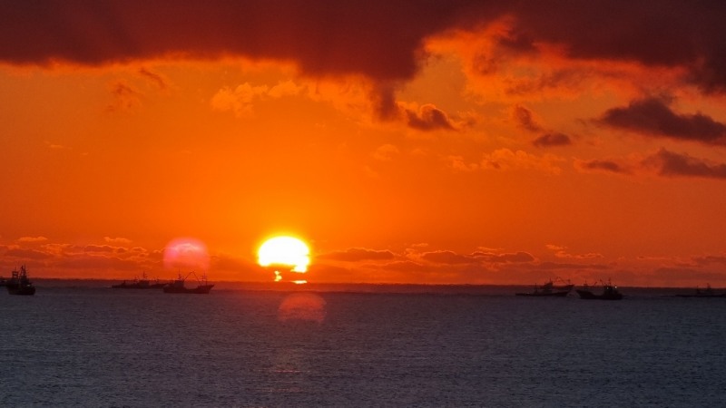 임인년(壬寅年)의 첫해가 떠오른 지난 1일 부산에서 바라본 일출이 아름답게 떠오르고 있다.