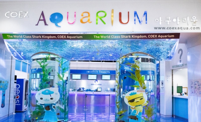 코엑스 아쿠아리움 게이트 수조‘사진 제공=굿네이버스 서울남부지부’