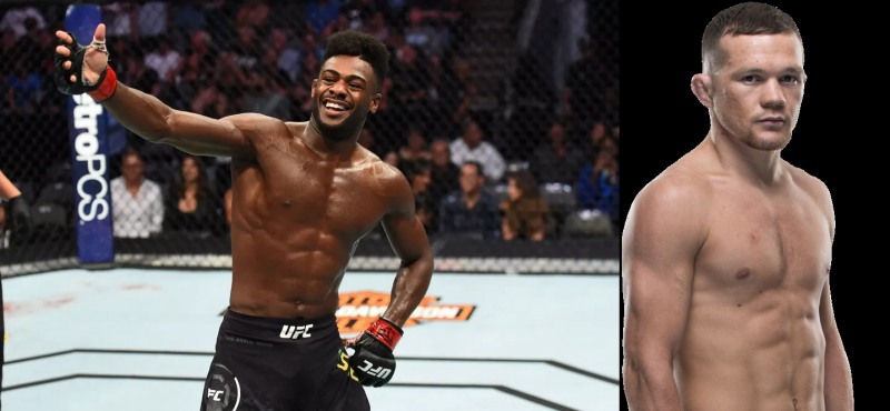 밴텀급 타이틀을 놓고 재대결하는 스털링(왼쪽)과 페트르 얀(사진=UFC)