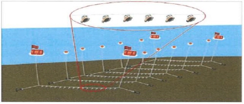 인천시, '주꾸미 산란·서식장 조성사업' 최종 선정