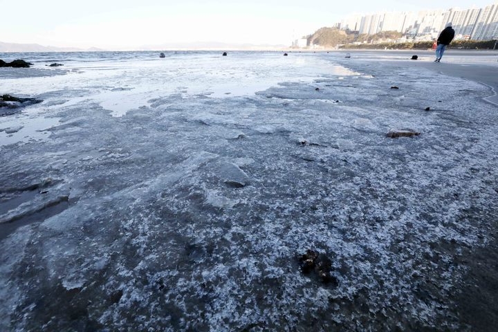 전국에 강력한 한파가 몰아친 26일 오전 부산 사하구 다대포해수욕장 백사장에 바닷물이 얼어 있다.