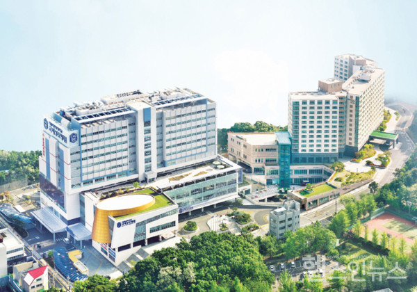 국제성모병원전경