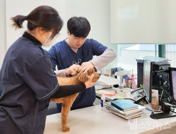 땅콩동물병원조승재수의사