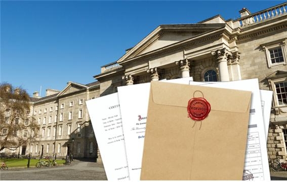 제공=배달의 민원