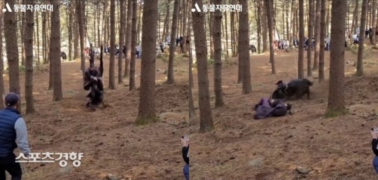 사진=동물자유연대 제공/출처=스포츠경향