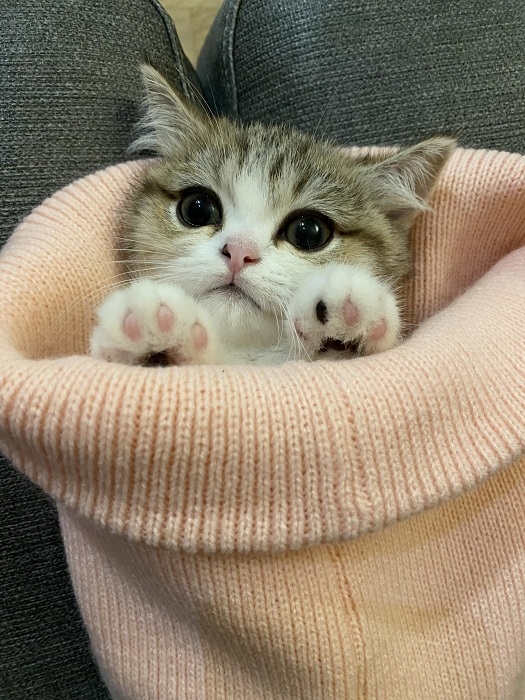 사진출처 : bami_goon