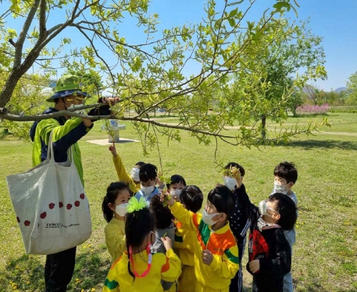 부산 강서구, 자연형 생태놀이터 '유아숲교육장' 운영