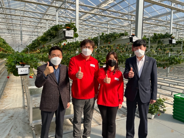 10일 경북 상주시에 위치한 ‘농업회사법인 우공의 딸기(주)’에서 농협은행 농업 녹색금융부문 김춘안 부행장(왼쪽에서 첫 번째)과 간담회 참석자들이 기념촬영을 하고 있다. (왼쪽부터 김춘안 부행장, 박홍희 대표, 곽영미 이사, 윤성훈 경북영업본부장)
