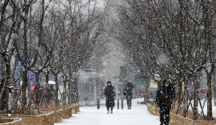 지난달 19일 오전 서울 종로구 동화면세점 앞을 시민들이 눈을 맞으며 걸어가고 있다.