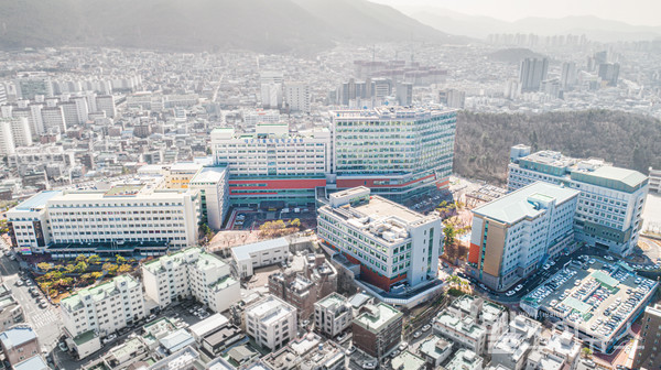 대구가톨릭대학교병원전경