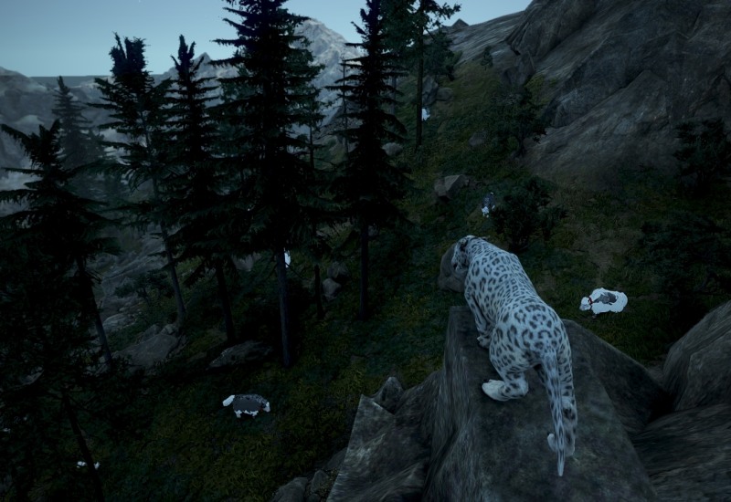 펄어비스 '검은사막' 채집 등 생활 콘텐츠 개편