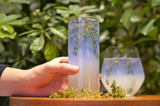 올 초 20대 취향저격한 스타벅스 음료는 ‘스프링 가든 자스민 드링크’