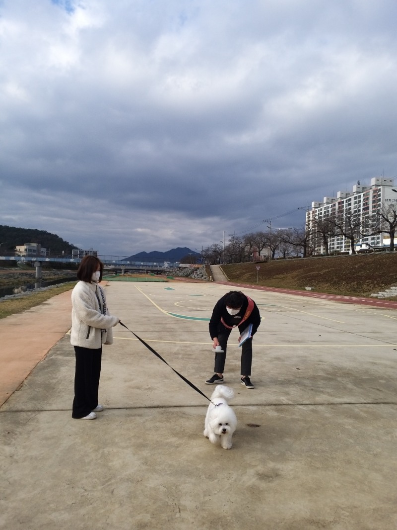 정읍시가 반려견 외출 시 목줄이 2m를 넘으면 과태료를 부과한다고 밝혔다. (사진제공 = 정읍시)