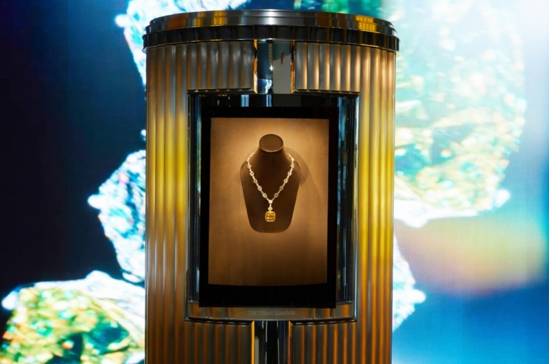 사진제공 : 티파니