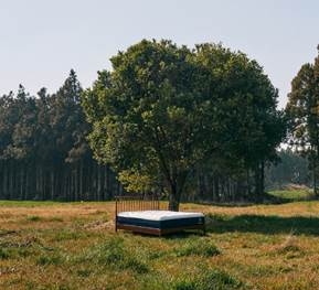 사진= 지누스 제공