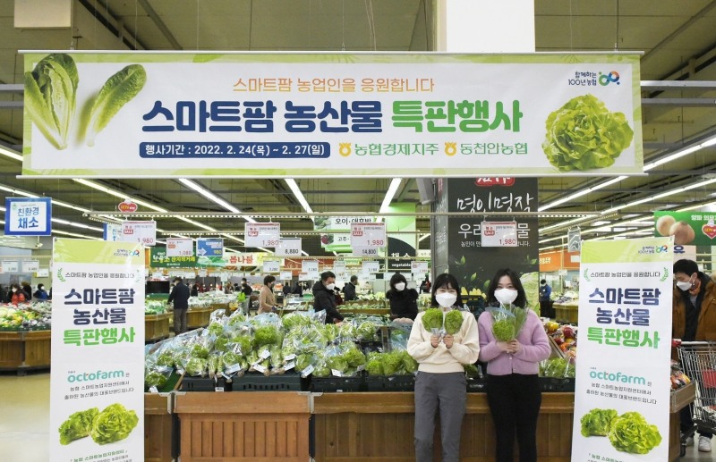 농협, 스마트팜 농산물 특판 실시…"유러피안 채소 최대 30%"