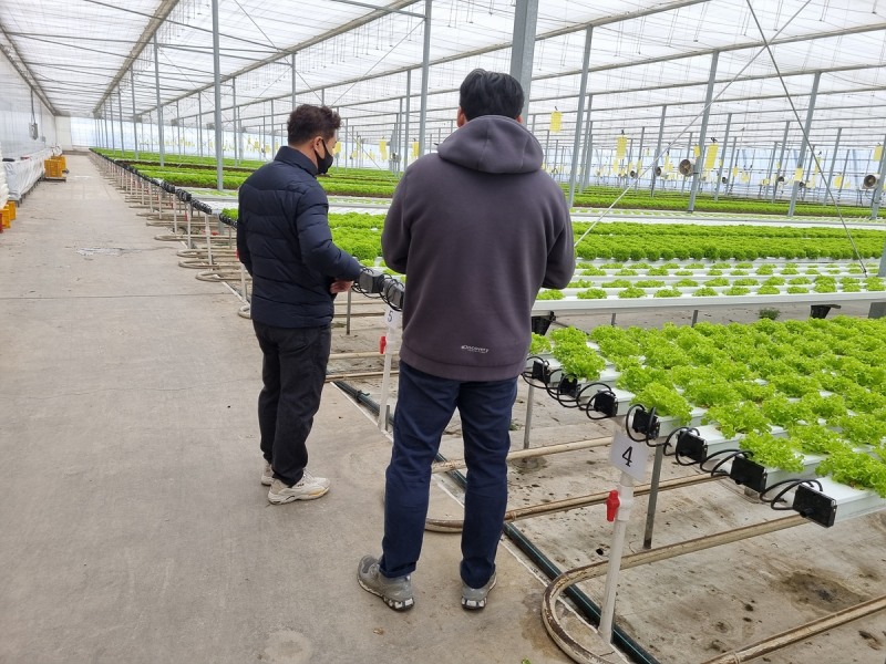 정읍시농업기술센터가 본격적인 영농철을 맞아 시설하우스 농작물 재배 기술과 병해충 방제 지도에 나선다. (사진제공 = 정읍시)