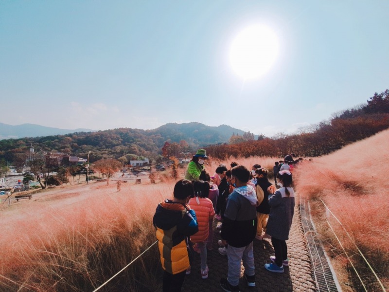 정읍시가 아이들의 정서적 교육과 건강한 성장을 돕기 위해 정읍사공원 일원에 조성한 유아숲체험원이 큰 인기를 끌고 있다. (사진제공 = 정읍시)