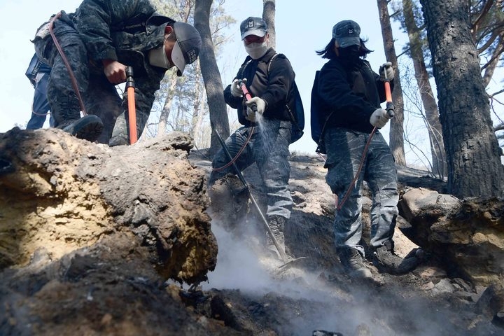 6일 오후 해군 제1함대사령부 장병들이 강원 동해시 신흥동 야산에서 잔불을 진화하고 있다. (사진=해군 제1함대사령부 제공)