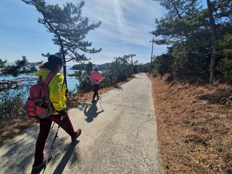 완도 신지면 주민이 해양치유 노르딕워킹 코스를 걷고 있다. (사진제공 = 완도군)