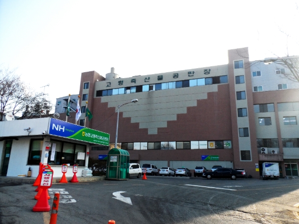 농협 고령축산물공판장 모습.