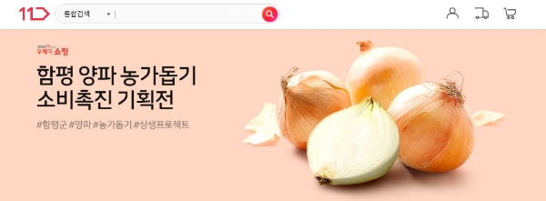 11번가, 함평군 양파 농가 돕기 나섰다…"40톤 물량 할인·무료 배송"