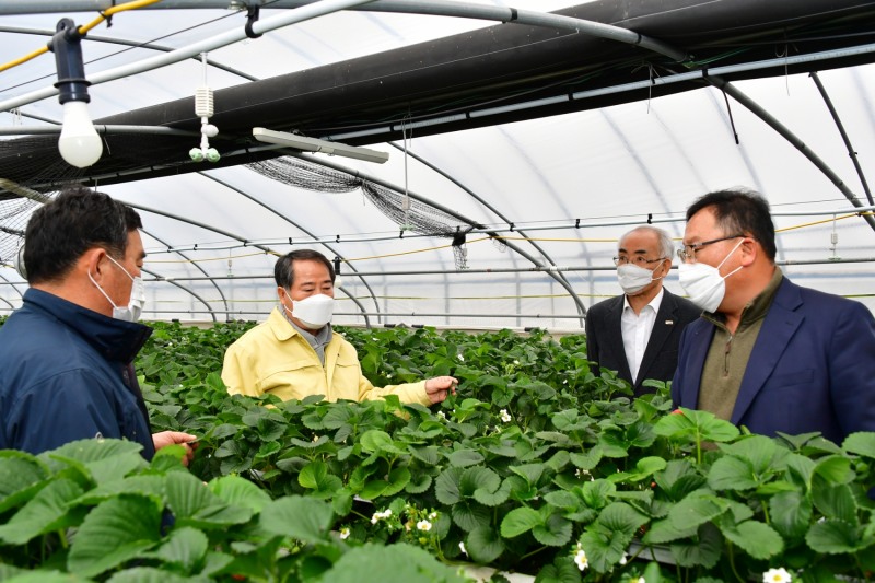 최형식 담양군수가 딸기농가 방문한 모습 (사진제공 = 담양군)