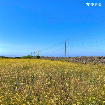 하나카드, ‘제주에서 행복해 봄’ 이벤트 진행…"할인등 혜택 다양"