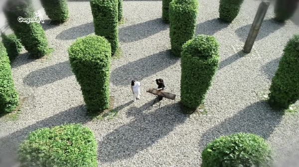 한국문화정보원 문화포털, 온라인으로 떠나는 꽃 나들이 콘텐츠 소개