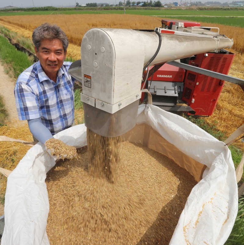 정읍시는 정읍명품귀리사업단이 생산한 명품 귀리의 소비를 촉진하고, 코로나19에 따른 농가의 어려움을 덜어주기 위해 공영홈쇼핑을 통한 방송 판매에 나선다. (사진제공 = 정읍시)